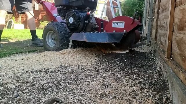 Slow motion gardener with industrial machinery grinding tree stump with sawdust particles flying
