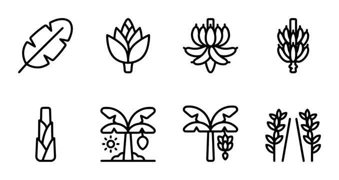 Tropical Fruit & Plant Icons: Banana, Artichoke, Palm Leaf, Corn, Mango Tree, Wheat Field
