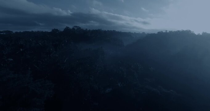 Bird's eye view on jungles in tropical area at night. Wide angle lens shot. Camera is moving backward