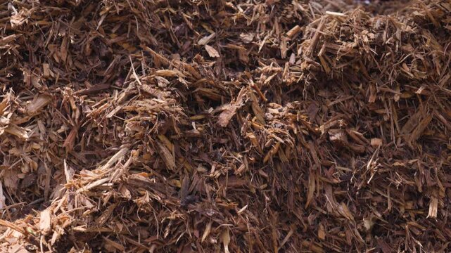 Pedestal motion up to show the depth of the Mulch Pile.
