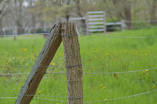 Rusty iron chain on a massive wooden post outdoors