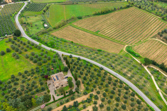 Aerial view of a traditional stone farmhouse surrounded by lush olive groves and geometric vineyards along a winding road in Ficulle, Umbria, Italy.