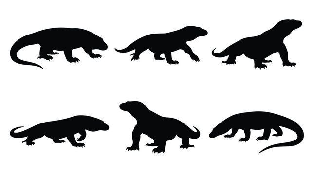 Collection of various komodo dragon silhouettes
