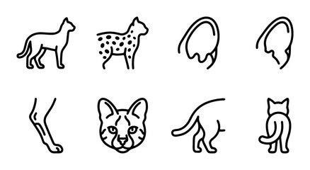 Feline Icons Set: Cat, Cheetah, Ears, Paws, Face, Tail, Vector Graphics Collection © Rakib