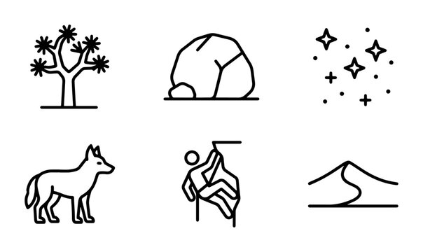 Desert Icons: Joshua Tree, Coyote, Rock Climbing, Sand Dunes, Stars, Stone