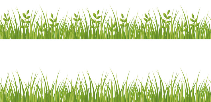 green grass and leaves, vegetable border for decoration