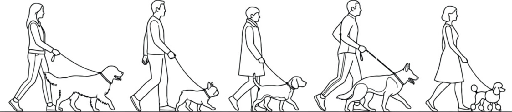 Diverse individuals enjoying leisurely walks with their beloved canine companions on leashes