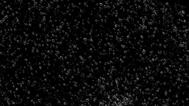 Water bubbles rising up overlay on black background. Realistic soda effervescent sparkling drops, champagne carbonated fizz floating motion graphic