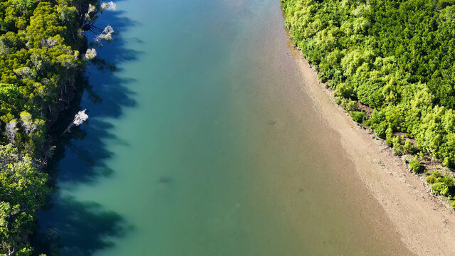 Aerial bird's eye view of a tropical rainforest stream in Queensland Australia