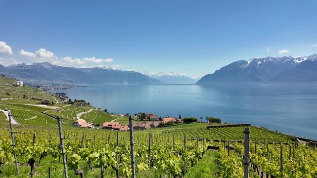 Lavaux vineyards with Lake Geneva and Alps Switzerland