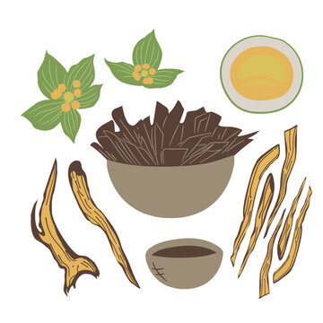 Bupleurum chinense Herb Ingredients Root Slices and Flowers Set