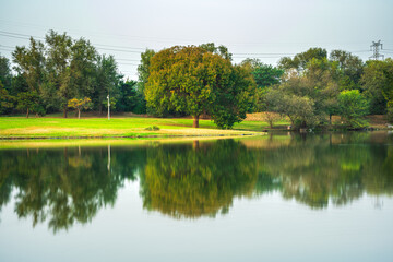 Obraz premium Tranquil lakeside in autumn park