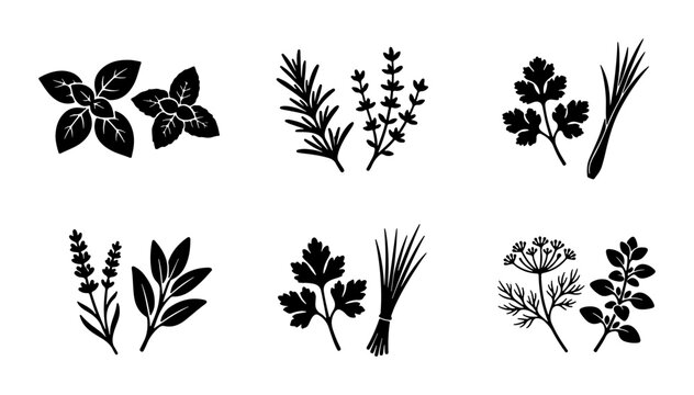 Herbs Vector Icons, Culinary Greens Silhouettes, Aromatic Plant Sprigs