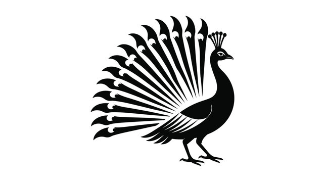 Peacock silhouette illustration with spread tail feathers on white background
