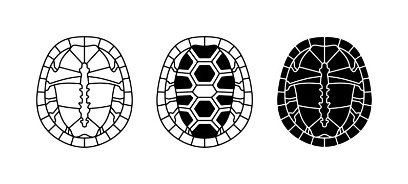 Three stylized turtle shell icons, outline, filled hexagon pattern, and solid black silhouette, vector graphics for nature and wildlife themes