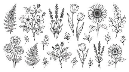 Fototapeta premium Vintage botanical line art collection, hand drawn floral sketches with sunflower and lavender, black and white wildflower vector set for wedding invitations