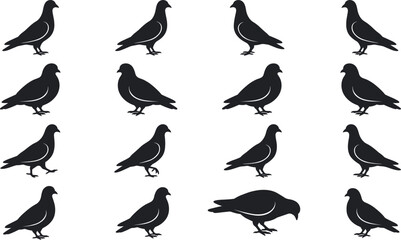 Obraz premium Black Pigeon Silhouette Collection Set of Sixteen Birds Standing in Various Side View Poses