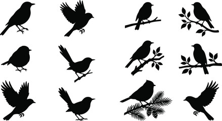 Obraz premium Black Songbird Silhouettes Collection Set with Branch and Leaves in Various Flying and Perching Poses