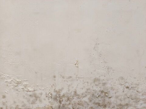 ​Dirty white concrete wall texture with mold and damp patches caused by water damage and high humidity