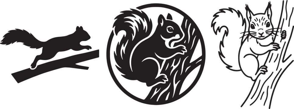 Squirrel vector set depicting rodent on tree branch using silhouette badge and outline styles.