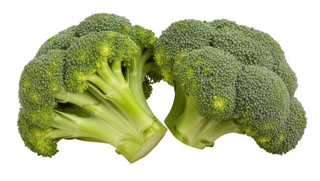 Fresh green broccoli florets with thick stems