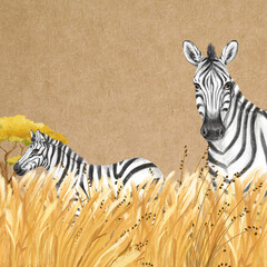 Obraz premium Cute zebra background, brown design