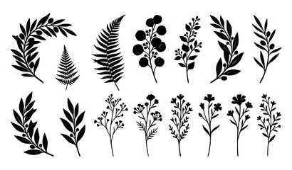 Delicate ferns and botanical wildflower silhouette elements vector. Elegant meadow plants and garden weeds collection. © Ziten