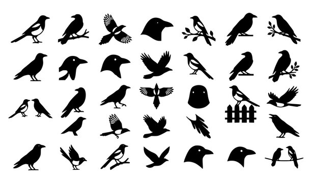 Collection of birds silhouettes sitting on tree branches vector. Black crows, ravens, and songbirds isolated elements pack.
