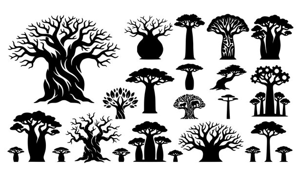 Baobab trees silhouette collection vector illustration isolated on white