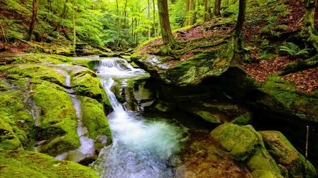 Beautiful Mountain Stream Waterfall Hidden in Dense Green Jungle in 4K Footage