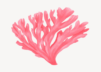 Pink coral, aesthetic nature illustration © Rawpixel.com