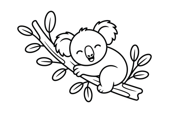 Cute black and white line koala sleeping on a eucalyptus branch