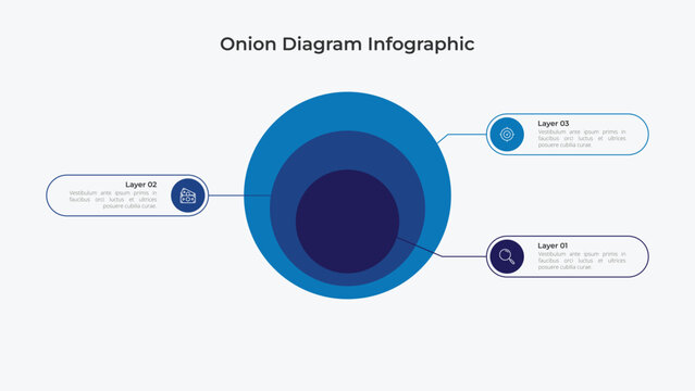 Onion Diagram Three Concentric Circles Infographic Design