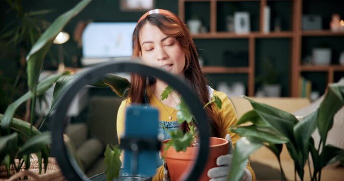 Live stream, pot plant and woman in home talking for advice, botany tips and floral care for vlog. Influencer, content creator and person record with ring light for hobby, gardening and social media