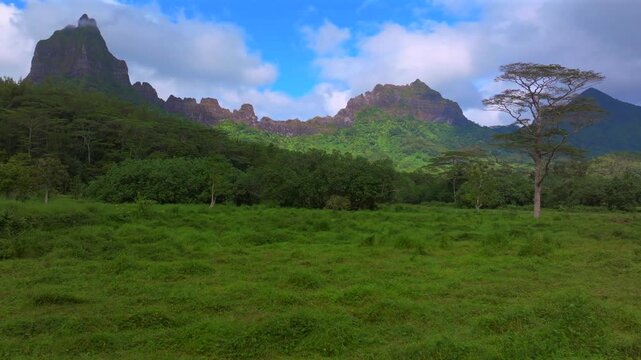 Belvedere Lookout walking trails Moorea French Polynesia Mount Toheia Mt Rotui valley aerial drone lush green jungle forest volcanic jagged mountain peaks sunny morning blue sky clouds forward pan up