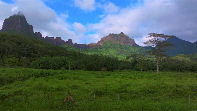 Belvedere Lookout walking trails Moorea French Polynesia Mount Toheia Mt Rotui valley aerial drone jungle trees lush green dramatic volcanic jagged mountain peaks sunny morning blue sky clouds upwards