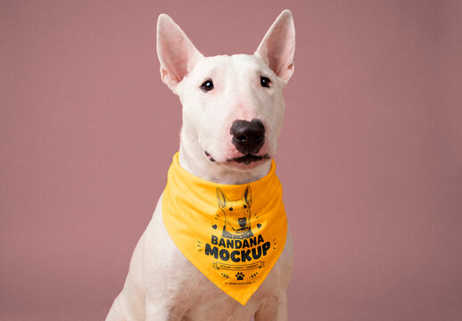 Dog bandana mockup on bull terrier