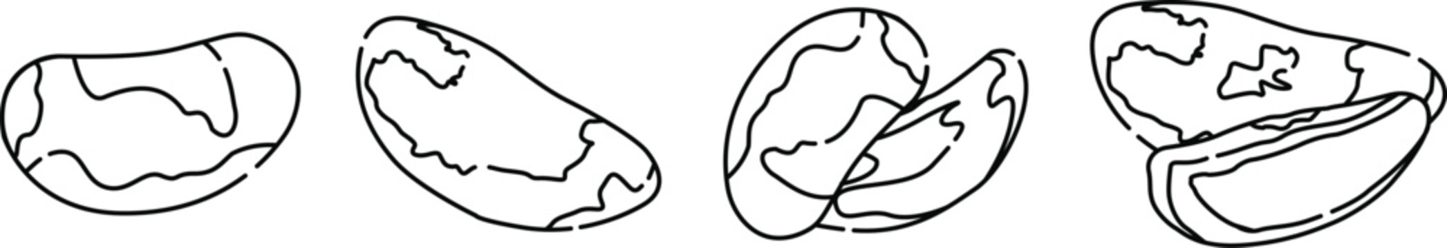 Hand Drawn Brazil Nut Icons Set Vector Illustration, Healthy Nut Food and Organic Agriculture Line Art Design