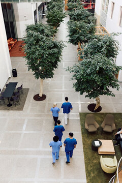 High angle view of male and female medical experts walking in hospital lobby
