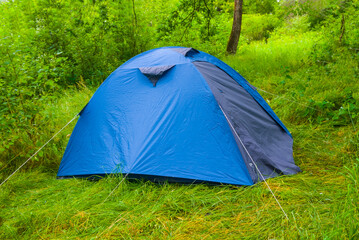 closeup blue touristic tent stay among green forest glade © Yuriy Kulik