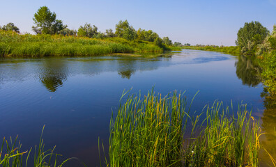 Obraz premium calm river with forest on coast under blue sky