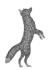 Fototapeta premium The gray geometric fox on a white background. 