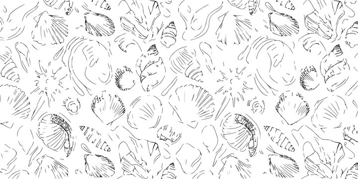 Shells in Various Shapes and Sizes Arranged in a Repeating Pattern Featuring Marine, Seashells, Design with Sketch and Outline Elements for White