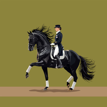Professional sportswoman in a top hat and tailcoat executing piaffe or passage on a dark stallion with polo bandages and saddle pad. Dressage training process.