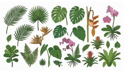 Hand Drawn Tropical Plant and Flower Collection Botanical Vector Set © Hanif