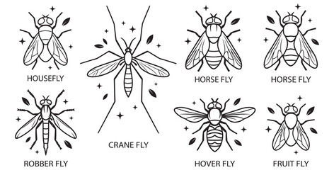 Obraz premium Collection of diverse insect illustrations including housefly, crane fly, horse fly, robber fly, hover fly, and fruit fly on transparent background