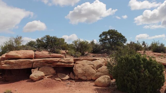 A pinyon-juniper woodland with visible cryptobiotic soil and massive shelf-like rocks along SR 95 in Utah