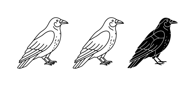 Three Crow Icons, Black and White Bird Silhouettes, Vector Art