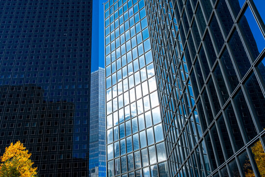 Autumn trees edge the glass facade of La Defense towers in Paris, France, where reflection and office windows frame the financial district