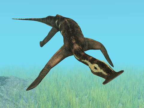 Pr&auml;historisches Meeresreptil Atopodentatus